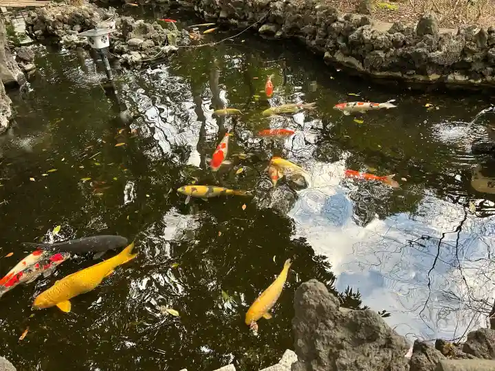 世田谷八幡宮の{uncategorized: "未分類", other: "その他", undefined: "問題あり", building: "その他建物", grave: "お墓", sacred_gate: "鳥居", guardian: "狛犬", statue: "像", buddha: "仏像", history: "歴史", nature: "自然", garden: "庭園", animal: "動物", pagoda: "塔", temizu: "手水舎", mountain_gate: "山門・神門", sanctuary: "本殿・本堂", subordinate: "末社・摂社", art: "芸術", scenery: "景色", jizo: "地蔵", ema: "絵馬", goshuin: "御朱印", omikuji: "おみくじ", items: "授与品その他", amulet: "お守り", goshuincho: "御朱印帳", eats: "食事", festival: "お祭り", votive_dance: "神楽", shichigosan: "七五三参", wedding: "結婚式", experience: "体験その他", initially: "初詣", around: "周辺", anti_infection: "感染症対策"}