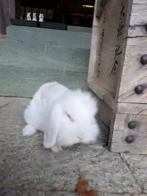 大御和神社(徳島県)