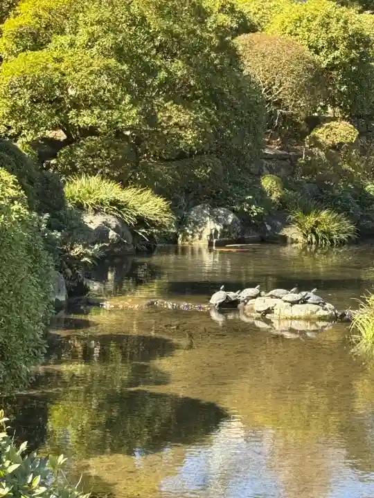根津神社の{uncategorized: "未分類", other: "その他", undefined: "問題あり", building: "その他建物", grave: "お墓", sacred_gate: "鳥居", guardian: "狛犬", statue: "像", buddha: "仏像", history: "歴史", nature: "自然", garden: "庭園", animal: "動物", pagoda: "塔", temizu: "手水舎", mountain_gate: "山門・神門", sanctuary: "本殿・本堂", subordinate: "末社・摂社", art: "芸術", scenery: "景色", jizo: "地蔵", ema: "絵馬", goshuin: "御朱印", omikuji: "おみくじ", items: "授与品その他", amulet: "お守り", goshuincho: "御朱印帳", eats: "食事", festival: "お祭り", votive_dance: "神楽", shichigosan: "七五三参", wedding: "結婚式", experience: "体験その他", initially: "初詣", around: "周辺", anti_infection: "感染症対策"}