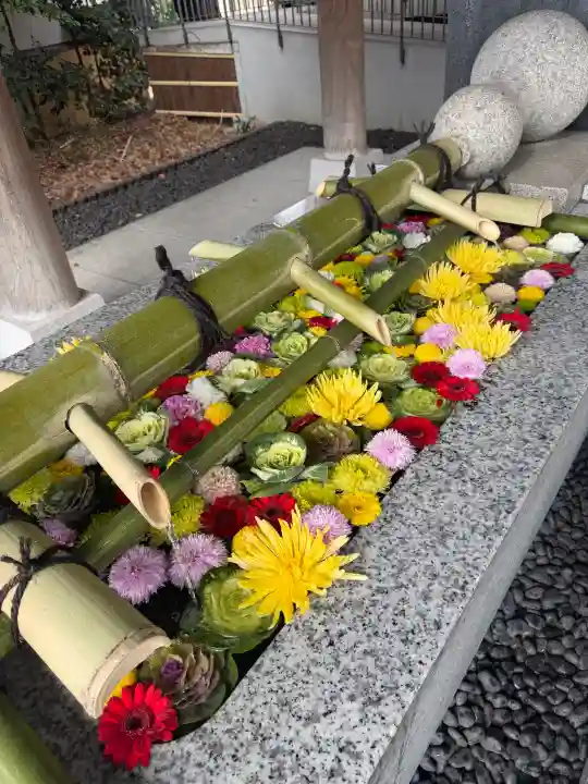 東郷神社の{uncategorized: "未分類", other: "その他", undefined: "問題あり", building: "その他建物", grave: "お墓", sacred_gate: "鳥居", guardian: "狛犬", statue: "像", buddha: "仏像", history: "歴史", nature: "自然", garden: "庭園", animal: "動物", pagoda: "塔", temizu: "手水舎", mountain_gate: "山門・神門", sanctuary: "本殿・本堂", subordinate: "末社・摂社", art: "芸術", scenery: "景色", jizo: "地蔵", ema: "絵馬", goshuin: "御朱印", omikuji: "おみくじ", items: "授与品その他", amulet: "お守り", goshuincho: "御朱印帳", eats: "食事", festival: "お祭り", votive_dance: "神楽", shichigosan: "七五三参", wedding: "結婚式", experience: "体験その他", initially: "初詣", around: "周辺", anti_infection: "感染症対策"}