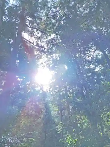 比沼麻奈為神社(京都府)