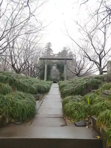 三ｹ尾神社の鳥居