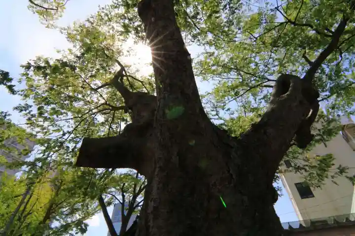 阿邪訶根神社の自然