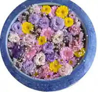 多賀神社の手水舎