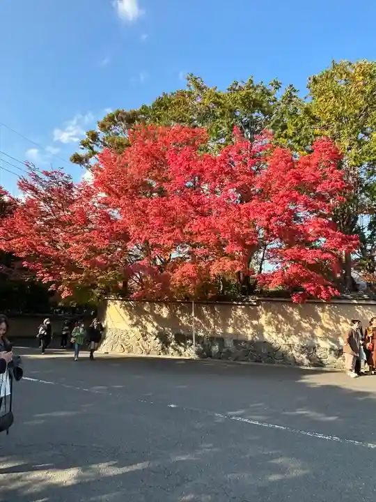 東福禅寺(東福寺)(京都府)