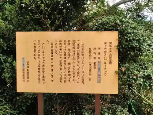 薬王寺(山梨県)