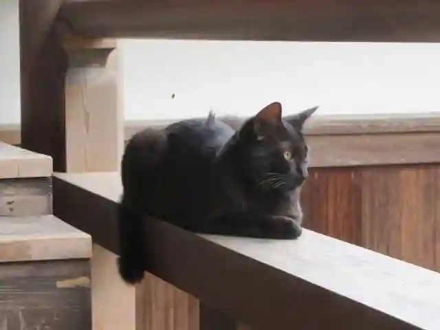 智恩寺(京都府)