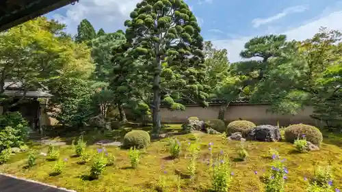 天得院(京都府)