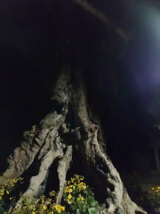 神魂伊能知奴志神社(島根県)