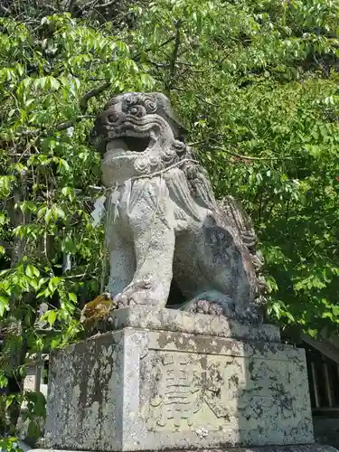 飽波神社の狛犬