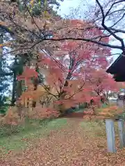 施福寺の自然