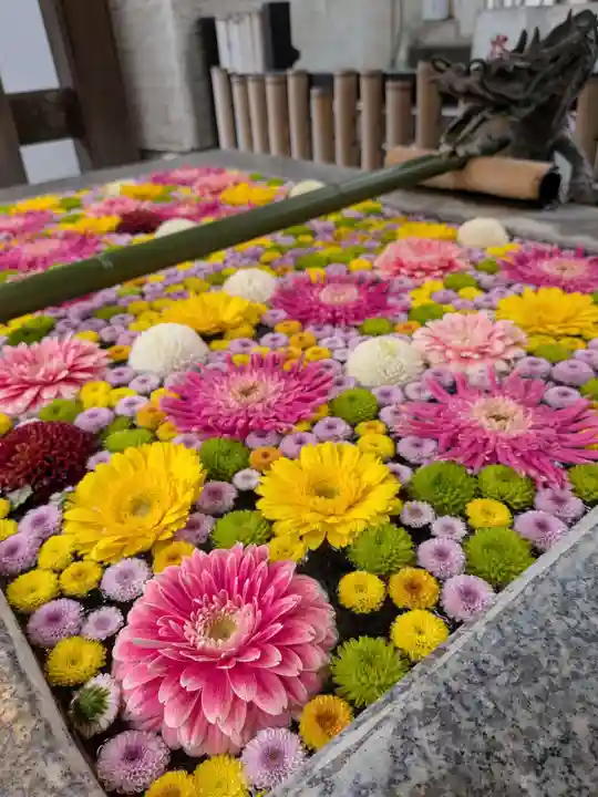 高円寺氷川神社(東京都)