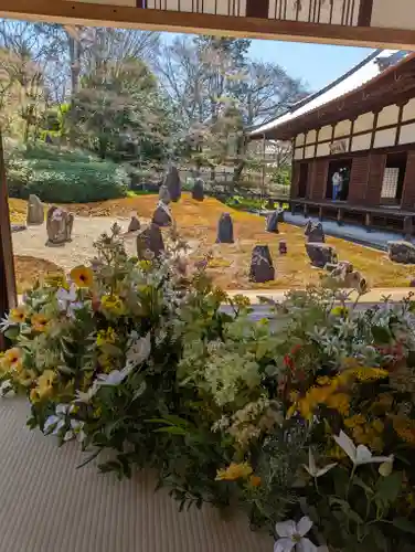 光明院（光明禅院）(京都府)