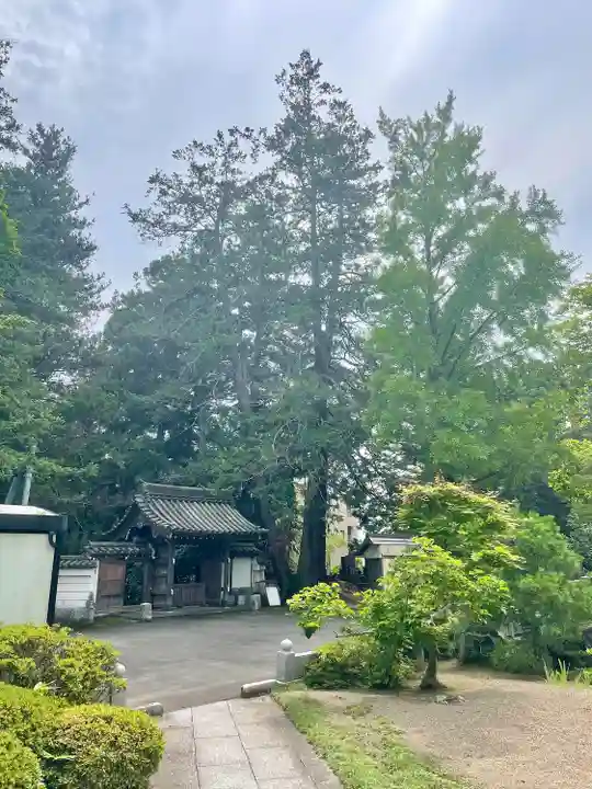 光明寺(宮城県)