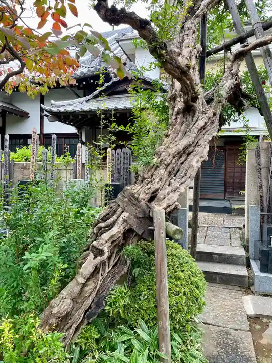長安寺(東京都)