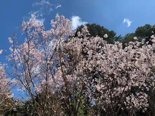 普門寺(切り絵御朱印発祥の寺)の自然