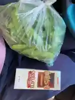 蓮久寺(千葉県)