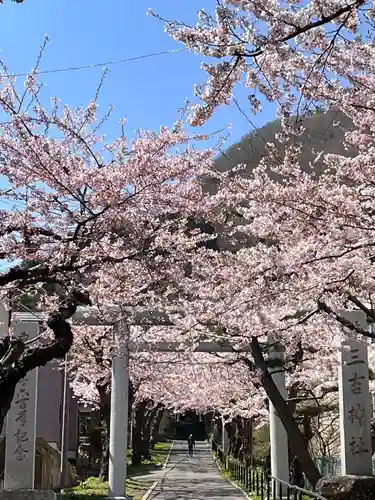 住三吉神社の自然