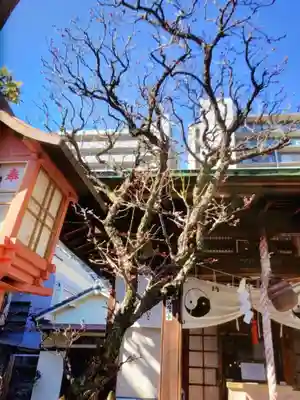 四谷於岩稲荷田宮神社(東京都)