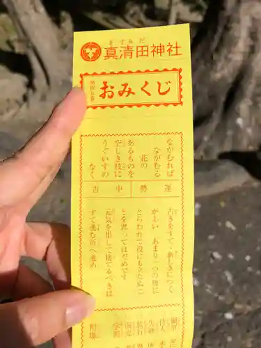 真清田神社のおみくじ