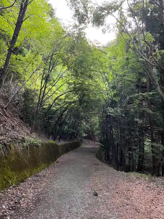 母の白滝神社(山梨県)