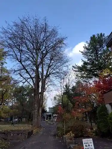 上川神社頓宮の景色