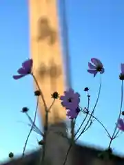 白鳥神社の自然