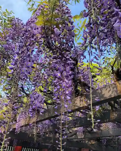 日枝神社の自然