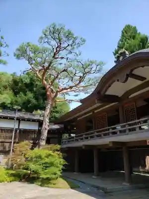 妙法寺(東京都)