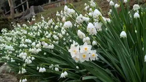 石山寺(滋賀県)