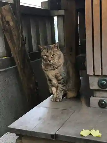 小野照崎神社の動物