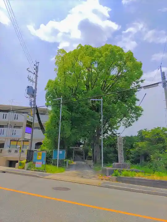 須佐之男神社の自然