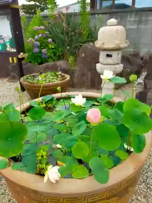 法泉寺(和歌山県)