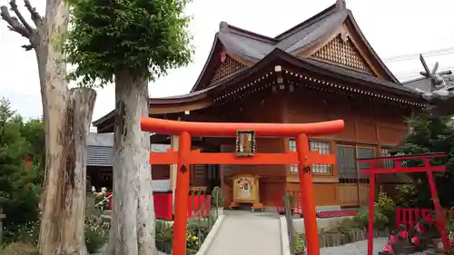 於菊稲荷神社の鳥居