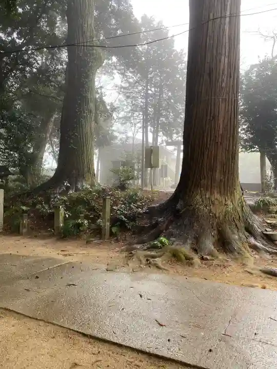 日吉神社の{uncategorized: "未分類", other: "その他", undefined: "問題あり", building: "その他建物", grave: "お墓", sacred_gate: "鳥居", guardian: "狛犬", statue: "像", buddha: "仏像", history: "歴史", nature: "自然", garden: "庭園", animal: "動物", pagoda: "塔", temizu: "手水舎", mountain_gate: "山門・神門", sanctuary: "本殿・本堂", subordinate: "末社・摂社", art: "芸術", scenery: "景色", jizo: "地蔵", ema: "絵馬", goshuin: "御朱印", omikuji: "おみくじ", items: "授与品その他", amulet: "お守り", goshuincho: "御朱印帳", eats: "食事", festival: "お祭り", votive_dance: "神楽", shichigosan: "七五三参", wedding: "結婚式", experience: "体験その他", initially: "初詣", around: "周辺", anti_infection: "感染症対策"}