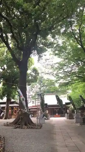 星川杉山神社のその他建物