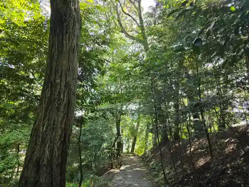 往馬坐伊古麻都比古神社(奈良県)