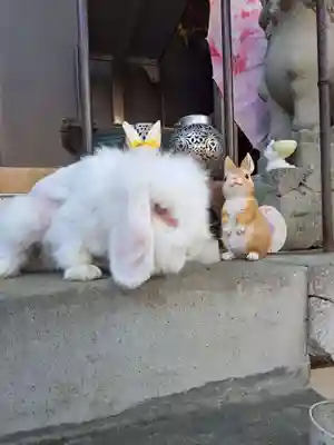 快神社(徳島県)