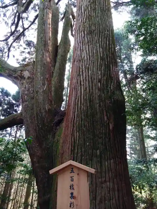 幣立神宮(熊本県)