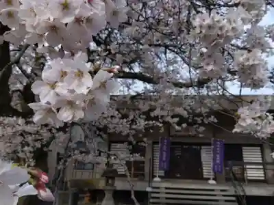 妙経寺(福井県)