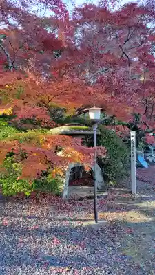 宝蔵寺の{uncategorized: "未分類", other: "その他", undefined: "問題あり", building: "その他建物", grave: "お墓", sacred_gate: "鳥居", guardian: "狛犬", statue: "像", buddha: "仏像", history: "歴史", nature: "自然", garden: "庭園", animal: "動物", pagoda: "塔", temizu: "手水舎", mountain_gate: "山門・神門", sanctuary: "本殿・本堂", subordinate: "末社・摂社", art: "芸術", scenery: "景色", jizo: "地蔵", ema: "絵馬", goshuin: "御朱印", omikuji: "おみくじ", items: "授与品その他", amulet: "お守り", goshuincho: "御朱印帳", eats: "食事", festival: "お祭り", votive_dance: "神楽", shichigosan: "七五三参", wedding: "結婚式", experience: "体験その他", initially: "初詣", around: "周辺", anti_infection: "感染症対策"}