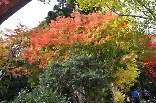 談山神社の自然