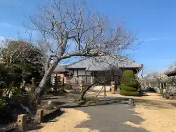 本從寺(千葉県)