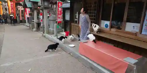 伏見稲荷大社の動物