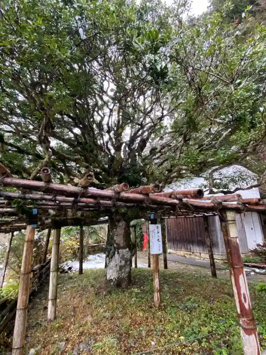 竹生島神社(都久夫須麻神社)(滋賀県)