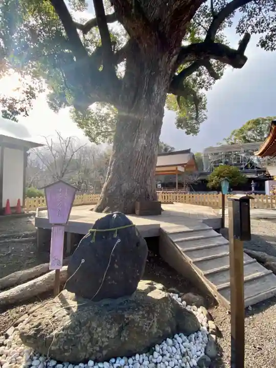 平野神社のその他建物