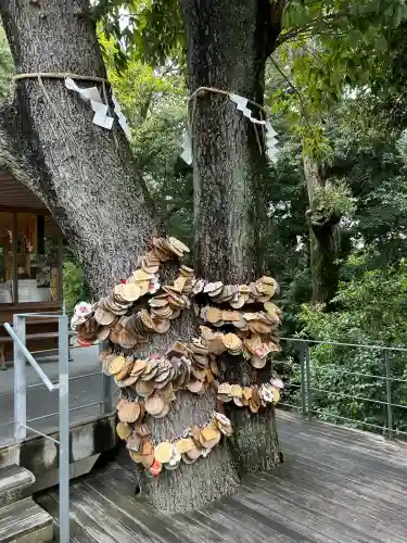 白山宮(愛知県)