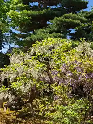 長慶院(京都府)
