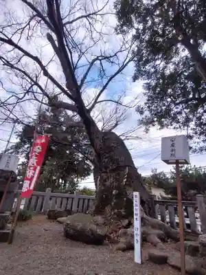 比比多神社（子易明神）(神奈川県)