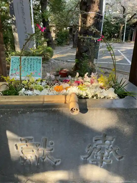 狭山八幡神社の{uncategorized: "未分類", other: "その他", undefined: "問題あり", building: "その他建物", grave: "お墓", sacred_gate: "鳥居", guardian: "狛犬", statue: "像", buddha: "仏像", history: "歴史", nature: "自然", garden: "庭園", animal: "動物", pagoda: "塔", temizu: "手水舎", mountain_gate: "山門・神門", sanctuary: "本殿・本堂", subordinate: "末社・摂社", art: "芸術", scenery: "景色", jizo: "地蔵", ema: "絵馬", goshuin: "御朱印", omikuji: "おみくじ", items: "授与品その他", amulet: "お守り", goshuincho: "御朱印帳", eats: "食事", festival: "お祭り", votive_dance: "神楽", shichigosan: "七五三参", wedding: "結婚式", experience: "体験その他", initially: "初詣", around: "周辺", anti_infection: "感染症対策"}